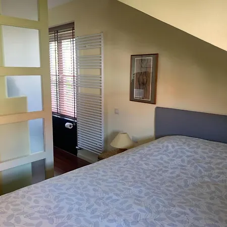 Spacious In The Center Of * Ostend
